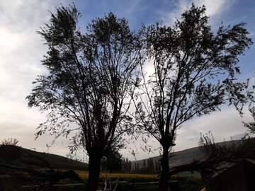 Spring time in Southern Iran