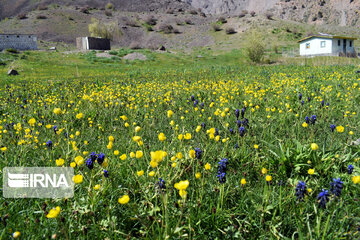 Gahar Lake; Beautiful Tourist Resort in Iran's Lorestan