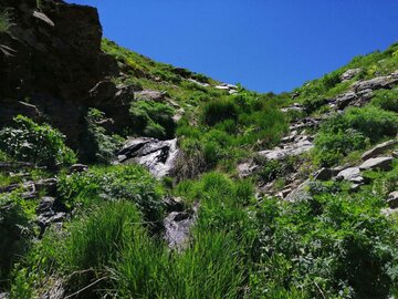 طبیعت بهاری کوهستان‌های مناطق ایل گورک بوکان