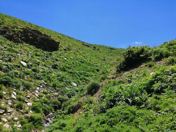 طبیعت بهاری کوهستان‌های مناطق ایل گورک بوکان