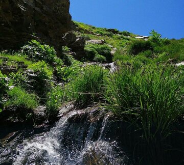 طبیعت بهاری کوهستان‌های مناطق ایل گورک بوکان