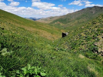 طبیعت بهاری کوهستان‌های مناطق ایل گورک بوکان