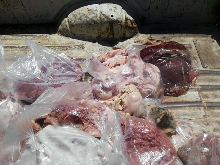 یک هزار و ۶۰۰ کیلوگرم گوشت و مرغ فاسد در تهران معدوم شد