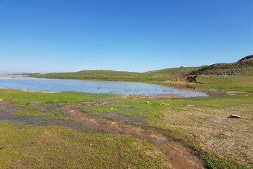 گولی بوقان(برکه قورباغه ها) در اشنویه