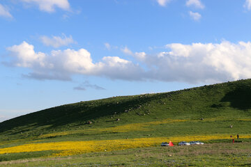 طبیعت بهاری دامنه‌های سبلان در اردبیل