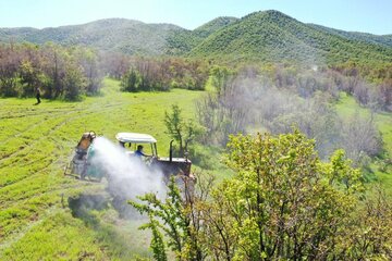 منابع طبیعی کردستان