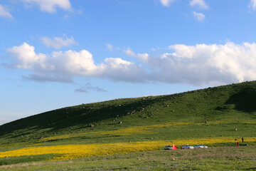 Spring time in Sabalan slopes Mount Northwestern Iran; Ardebil