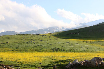 Spring time in Sabalan slopes Mount Northwestern Iran; Ardebil