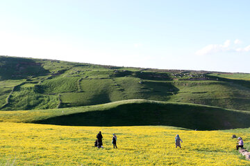 Spring time in Sabalan slopes Mount Northwestern Iran; Ardebil