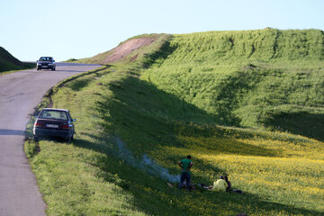 Spring time in Sabalan slopes Mount Northwestern Iran; Ardebil