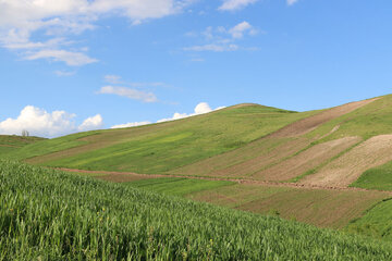 Spring time in Sabalan slopes Mount Northwestern Iran; Ardebil