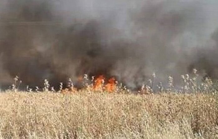 تروریست‌ها مزارع گندم و جو مردم شهر حسکه سوریه را آتش زدند