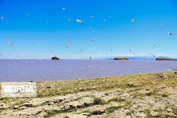 Urmia Lake level on rise to 1,272m