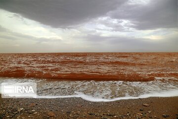 Urmia Lake level on rise to 1,272m