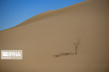 Varzaneh Desert; Tourist attraction in Central Iran