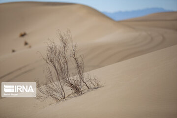 Varzaneh Desert; Tourist attraction in Central Iran