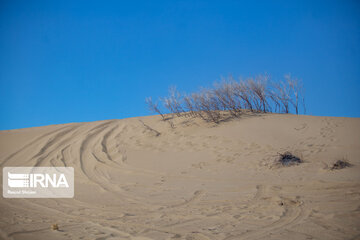 Varzaneh Desert; Tourist attraction in Central Iran