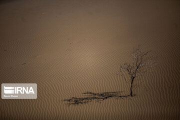 Varzaneh Desert; Tourist attraction in Central Iran