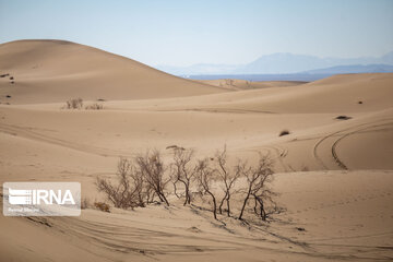 Varzaneh Desert; Tourist attraction in Central Iran