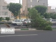 تندباد ۹۰ کیلومتری در گلستان خسارت جدی نداشت