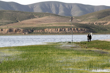 Zone humide internationale de Ghorigul dans le nord-ouest de l'Iran