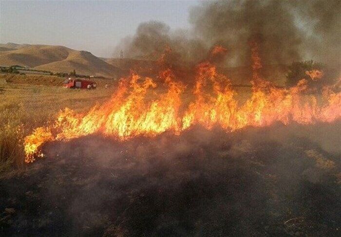هفت هکتار از اراضی کشاورزی ایوان در آتش سوخت