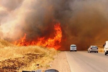  آتش زدن مزارع برنامه جدید تروریست ها در عراق و سوریه