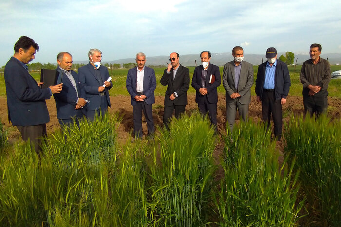 بازدید مدیران وزارت جهاد کشاورزی از مزارع و مراکز تحقیقات کشاورزی استان اردبیل