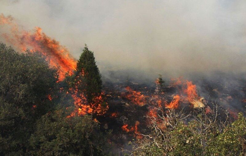 آتش سوزی منطقه دهرود دشتستان همچنان ادامه دارد