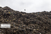 دفن روزانه زباله ها در سراوان رشت با بیش از ۳۰۰ تن ماسه