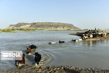 Hamoun lake in Iran