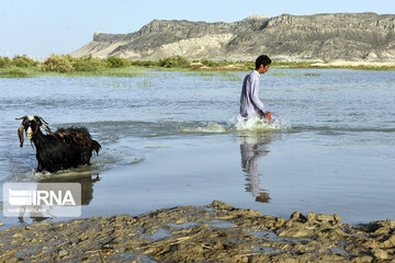 Hamoun lake in Iran