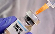 فعالیت پنج شرکت دانش بنیان برای تولید واکسن کرونا