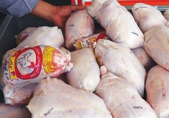 آغاز توزیع گوشت مرغ بین نیازمندان همدان