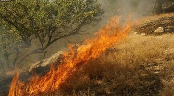 ۳۳ هکتار از اراضی و باغات ایوان در آتش سوخت