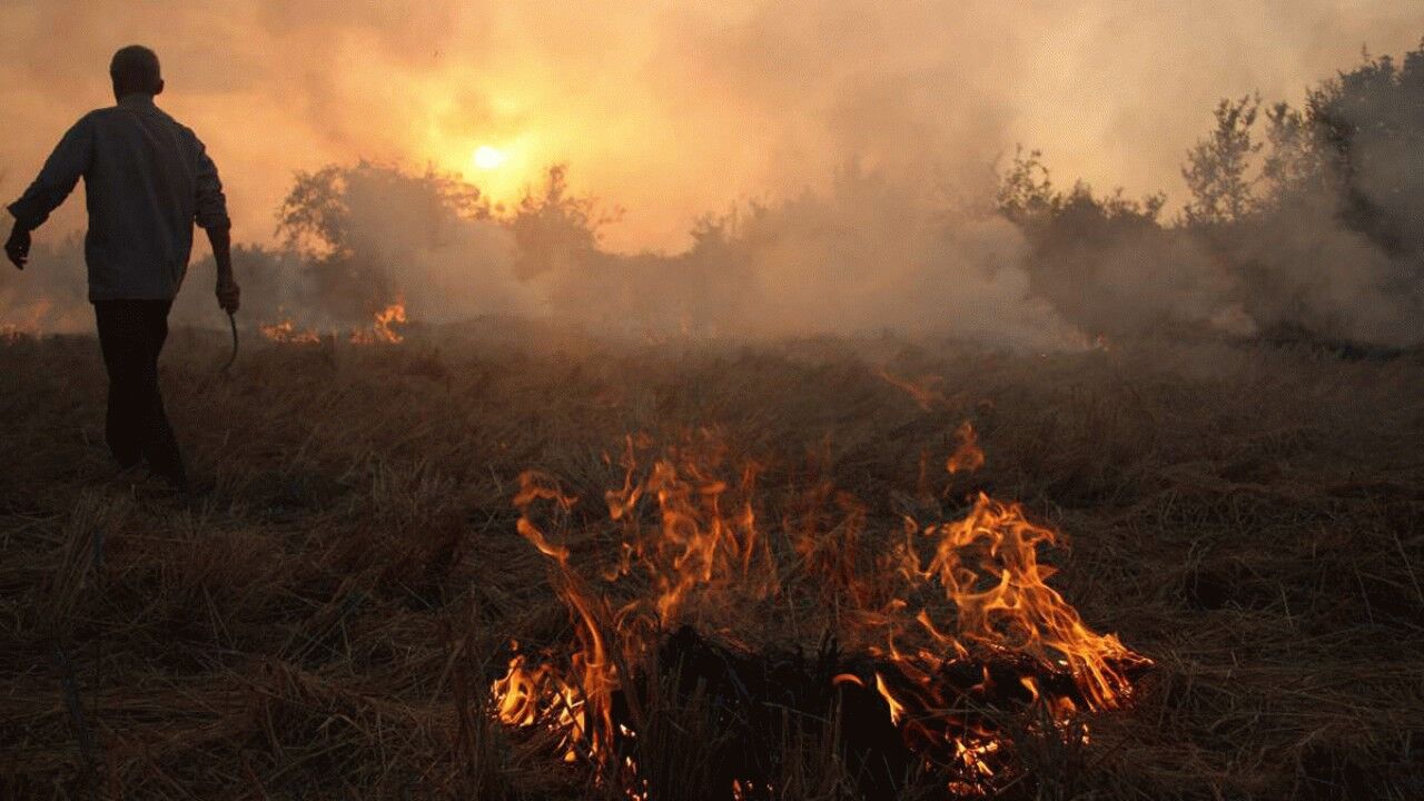 آتش زدن پس مانده محصولات کشاورزی غیرقانونی است