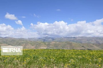 Spring time in Miandoab Northwestern Iran