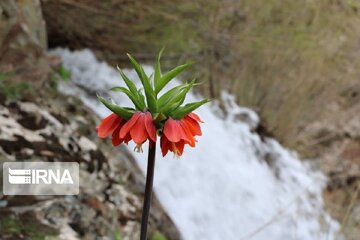 Spring time in Miandoab Northwestern Iran