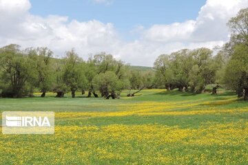 Spring time in Miandoab Northwestern Iran