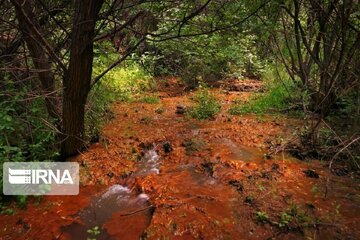 Spring time in Miandoab Northwestern Iran