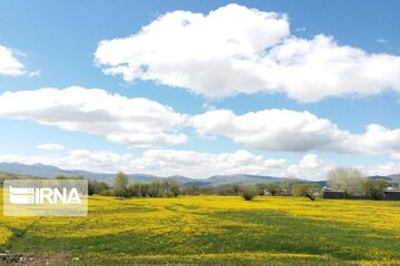 Spring time in Miandoab Northwestern Iran