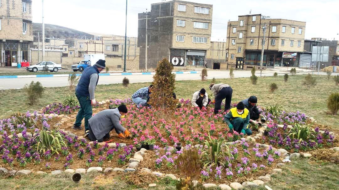 ۱۱۴ هزار بوته‌ گل در معابر شهری تکاب کاشته می‌شود
