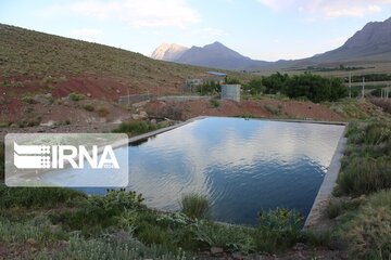 Growth of medicinal herbs in central Iran