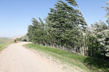 سرعت تندباد در مهاباد به ۹۰ کیلومتر در ساعت رسید 