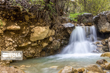 Spring time in Mashayekh District; Southwestern Iran