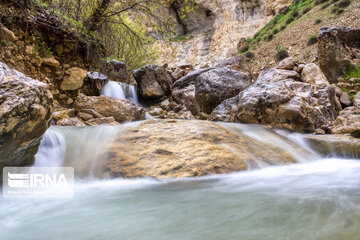 Spring time in Mashayekh District; Southwestern Iran