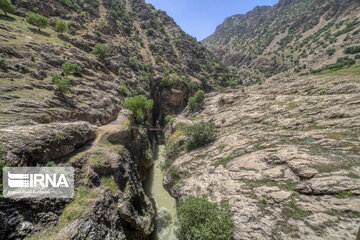 Spring time in Mashayekh District; Southwestern Iran