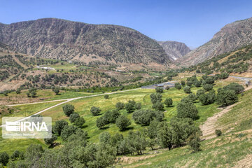 Spring time in Mashayekh District; Southwestern Iran