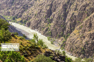 Spring time in Mashayekh District; Southwestern Iran