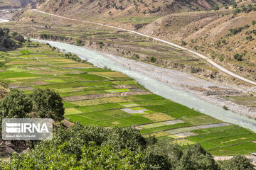 Spring time in Mashayekh District; Southwestern Iran